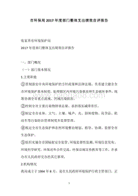 市环保局2017年度部门整体支出绩效自评报告.docx