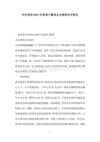 市社保局2017年度部门整体支出绩效自评报告.docx