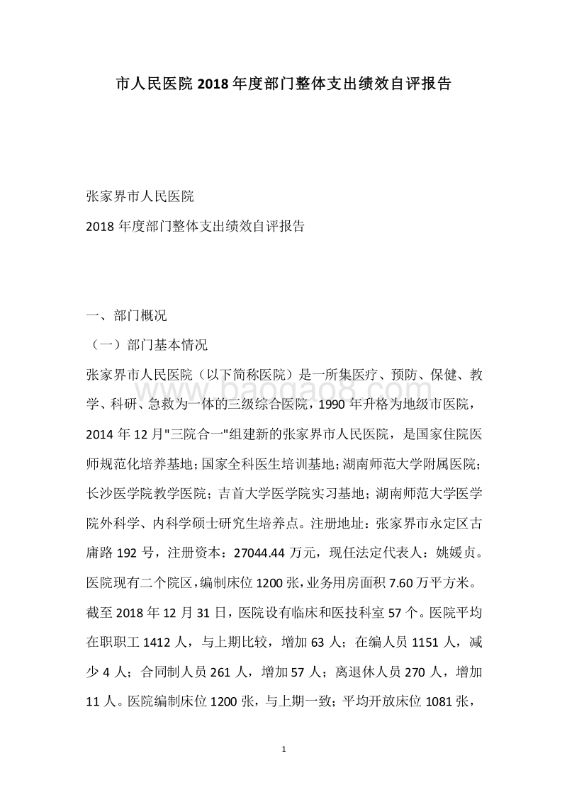 市人民医院2018年度部门整体支出绩效自评报告.docx_第1页