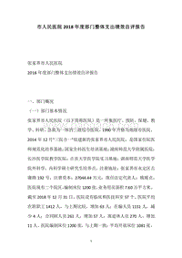 市人民医院2018年度部门整体支出绩效自评报告.docx