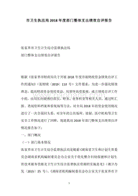 市卫生执法局2018年度部门整体支出绩效自评报告.docx