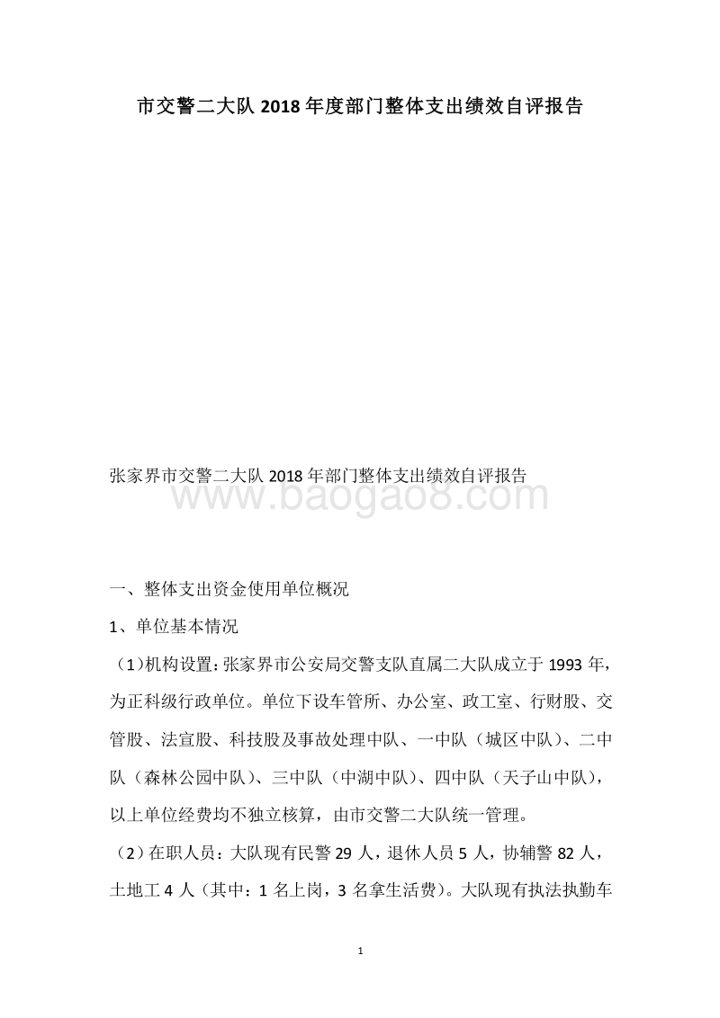 市交警二大队2018年度部门整体支出绩效自评报告.docx_第1页