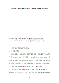 市交警二大队2018年度部门整体支出绩效自评报告.docx
