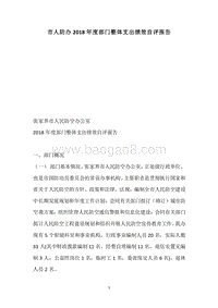 市人防办2018年度部门整体支出绩效自评报告.docx