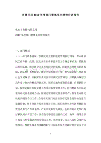 市移民局2017年度部门整体支出绩效自评报告.docx