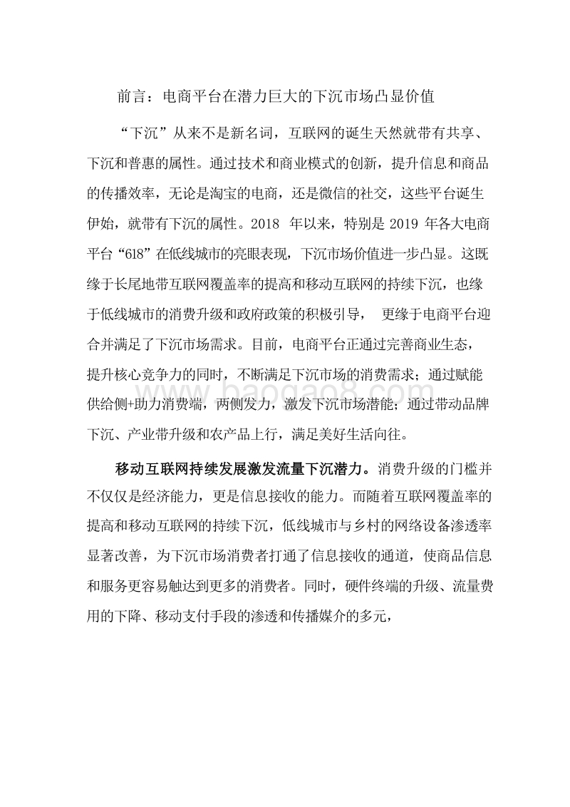 2019-2020下沉市场与电商平台研究报告.docx_第3页