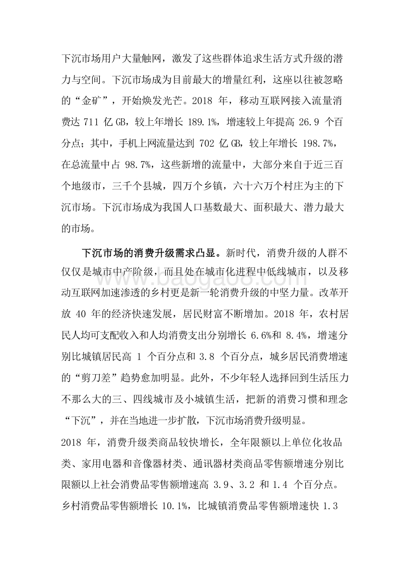 2019-2020下沉市场与电商平台研究报告.docx_第4页