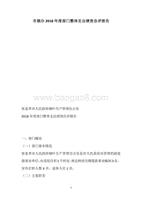 市烟办2018年度部门整体支出绩效自评报告.docx