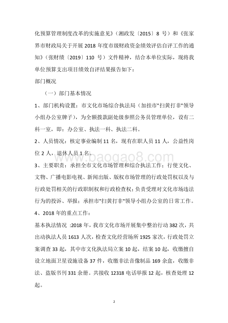 市文化市场执法局2018年度部门整体支出绩效自评报告.docx_第2页