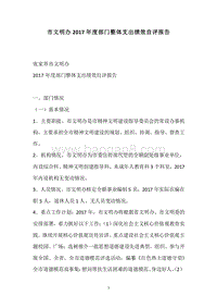 市文明办2017年度部门整体支出绩效自评报告.docx