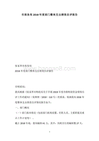 市商务局2018年度部门整体支出绩效自评报告.docx