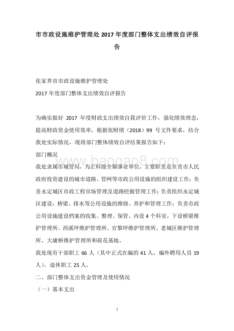 市市政设施维护管理处2017年度部门整体支出绩效自评报告.docx_第1页