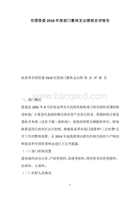 市国资委2018年度部门整体支出绩效自评报告.docx