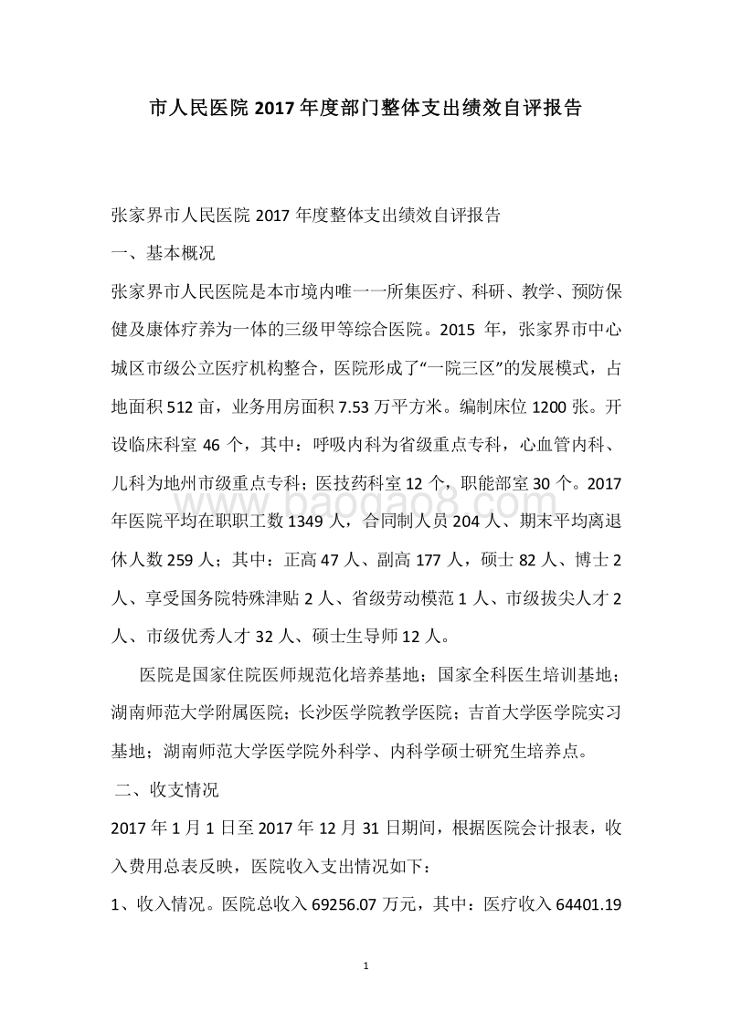 市人民医院2017年度部门整体支出绩效自评报告.docx_第1页