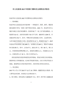 市人民医院2017年度部门整体支出绩效自评报告.docx