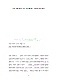 市社科联2018年度部门整体支出绩效自评报告.docx