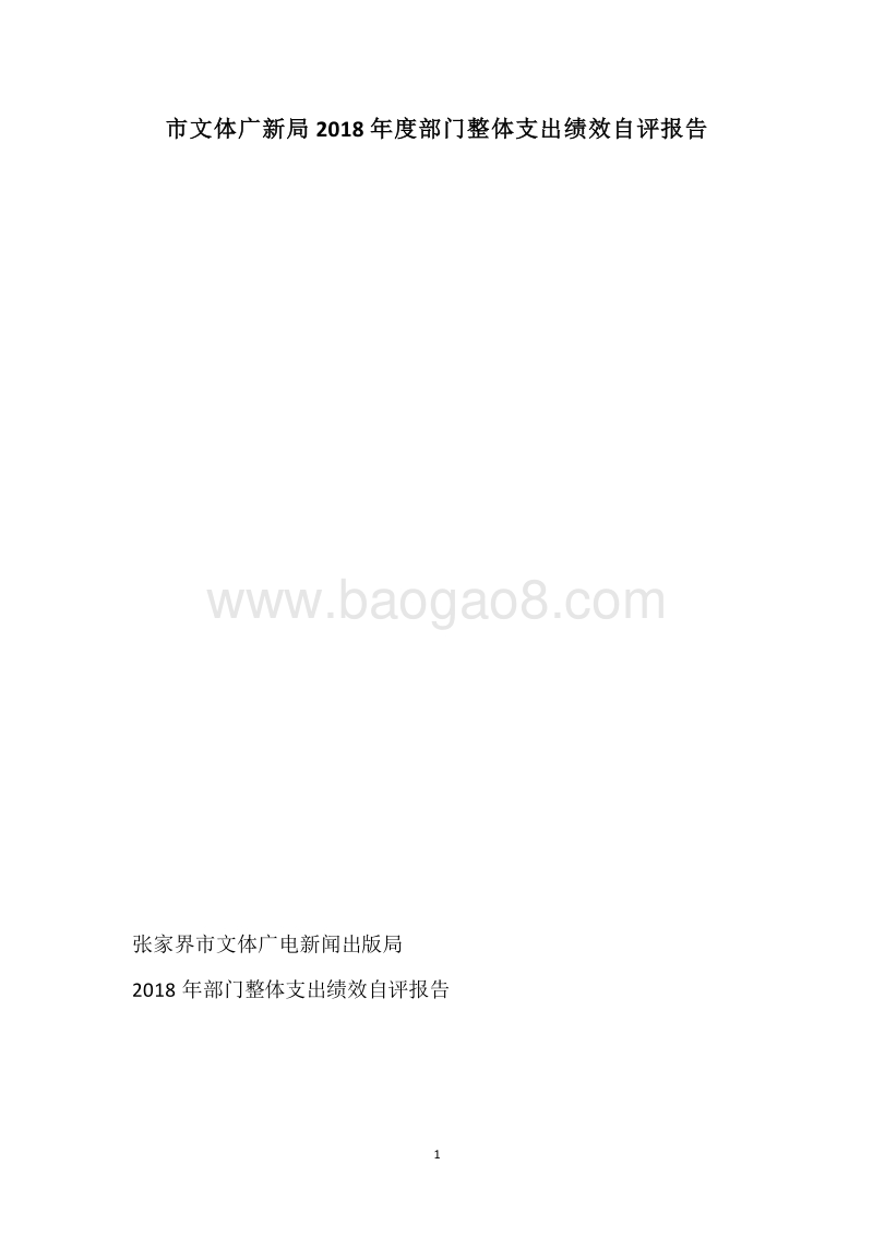市文体广新局2018年度部门整体支出绩效自评报告.docx_第1页