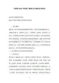 市特校2017年度部门整体支出绩效自评报告.docx