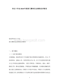 市红十字会2018年度部门整体支出绩效自评报告.docx