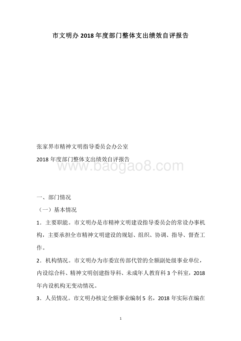 市文明办2018年度部门整体支出绩效自评报告.docx_第1页