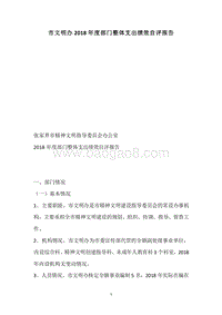 市文明办2018年度部门整体支出绩效自评报告.docx