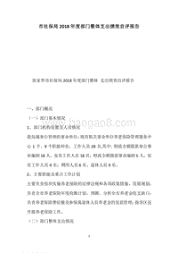市社保局2018年度部门整体支出绩效自评报告.docx