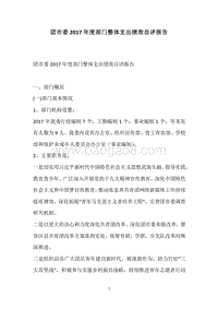 团市委2017年度部门整体支出绩效自评报告.docx