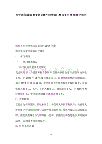 市劳动保障监察支队2017年度部门整体支出绩效自评报告.docx