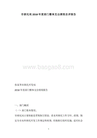 市移民局2018年度部门整体支出绩效自评报告.docx