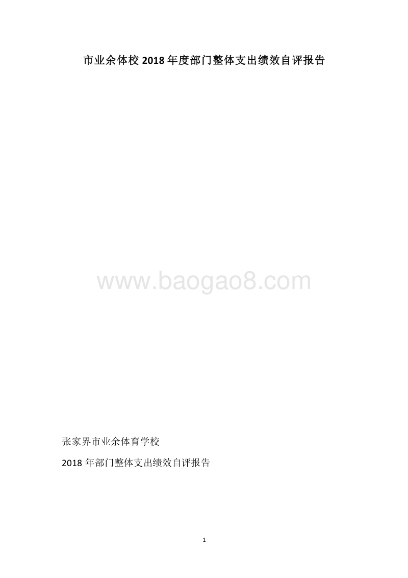 市业余体校2018年度部门整体支出绩效自评报告.docx_第1页