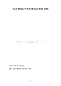 市业余体校2018年度部门整体支出绩效自评报告.docx