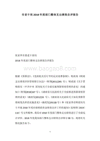 市老干局2018年度部门整体支出绩效自评报告.docx
