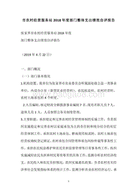 市农村经营服务站2018年度部门整体支出绩效自评报告.docx