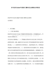 市司法局2018年度部门整体支出绩效自评报告.docx
