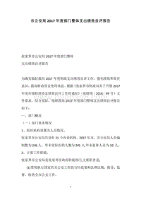 市公安局2017年度部门整体支出绩效自评报告.docx