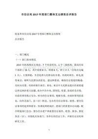 市信访局2017年度部门整体支出绩效自评报告.docx