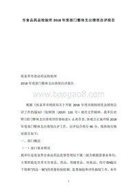 市食品药品检验所2018年度部门整体支出绩效自评报告.docx
