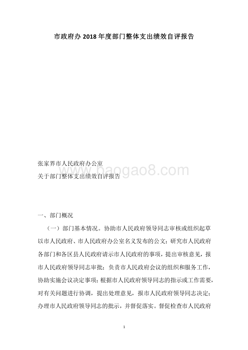 市政府办2018年度部门整体支出绩效自评报告.docx_第1页