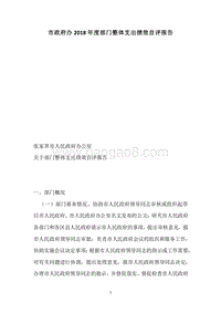 市政府办2018年度部门整体支出绩效自评报告.docx
