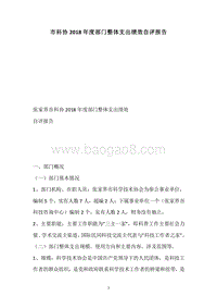 市科协2018年度部门整体支出绩效自评报告.docx