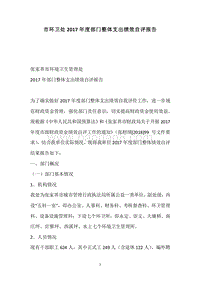 市环卫处2017年度部门整体支出绩效自评报告.docx