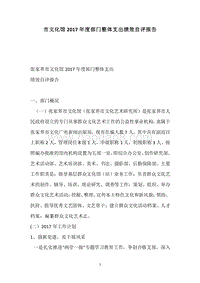 市文化馆2017年度部门整体支出绩效自评报告.docx