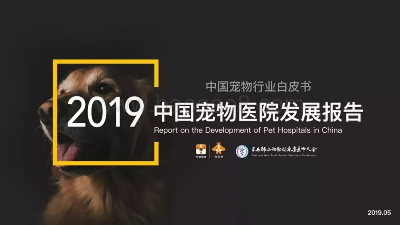 561-1-狗民网：2019中国宠物医院发展报告.pdf_第1页