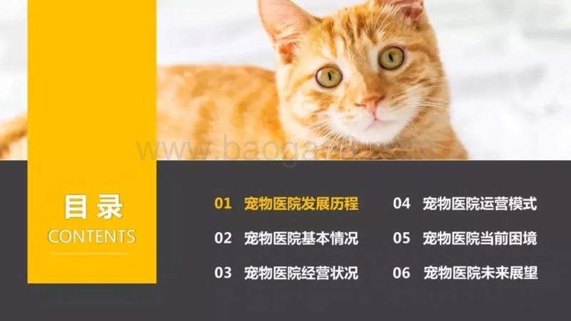 561-1-狗民网：2019中国宠物医院发展报告.pdf_第2页