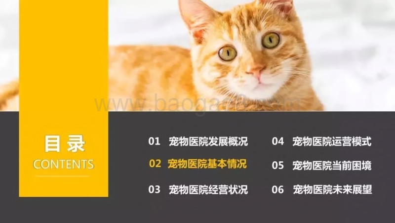 561-1-狗民网：2019中国宠物医院发展报告.pdf_第4页