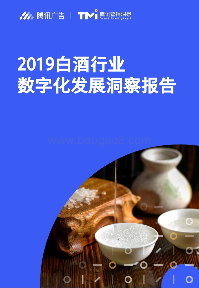 559-腾讯-2019白酒行业数字化发展洞察报告.pdf_第1页