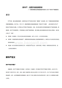 新中产：消费升级的新群体.pdf