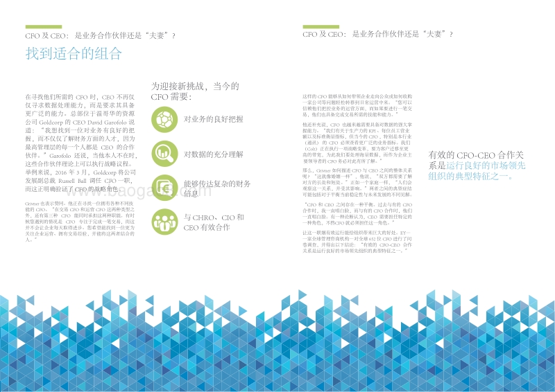 CFO及CEO：是业务合作伙伴还是“夫妻”？.pdf_第3页