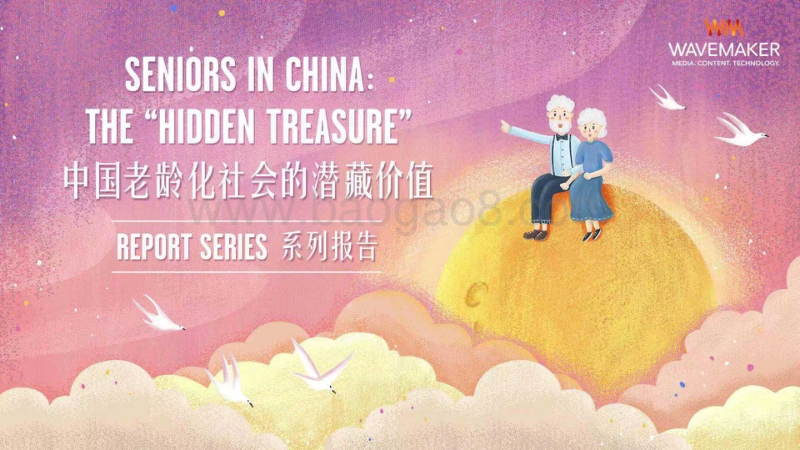 中国老龄化社会的潜藏价值.pdf_第1页