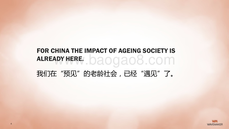 中国老龄化社会的潜藏价值.pdf_第4页